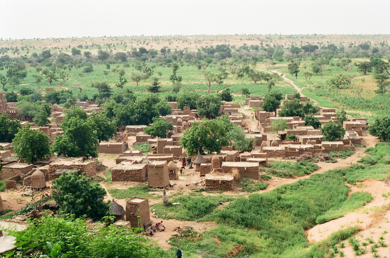 Village in the Dogon country