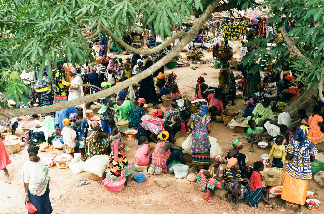 Under the market trees