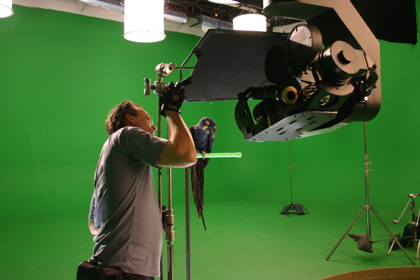 Creature element shoot